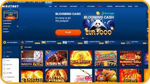 Mostbet Azerbaijan rəyi: qeydiyyat, idman fəaliyyətləri və kiber idman növləri 